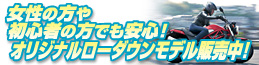 オリジナル ローダウン仕様！