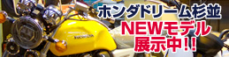 NEWモデル展示中！！